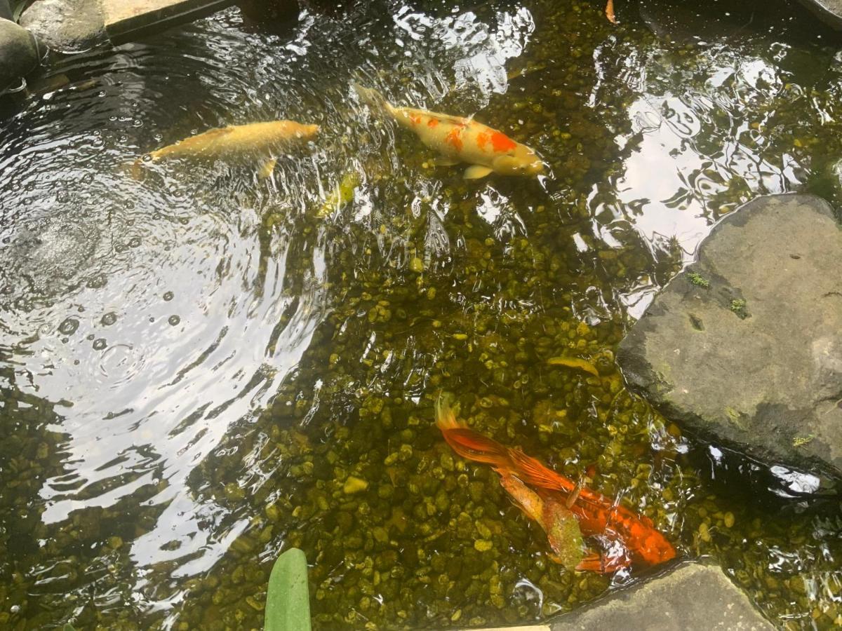 Villa Koi Keramas Ngoại thất bức ảnh